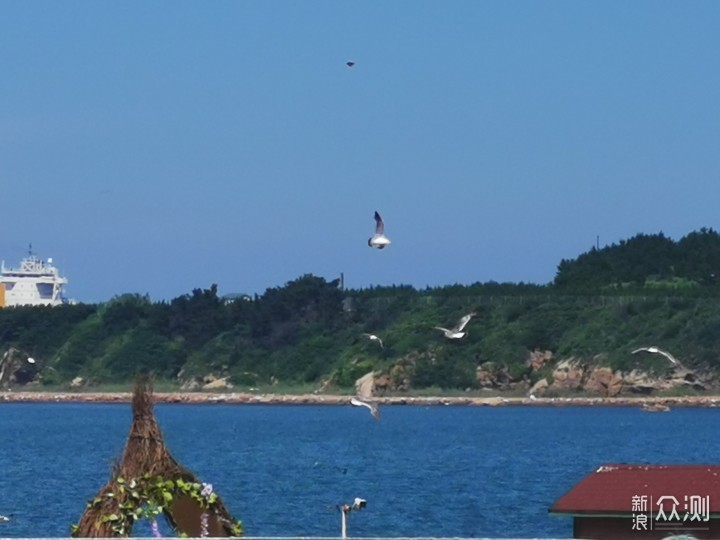 {娛樂城}(威海旅游团电话是多少)