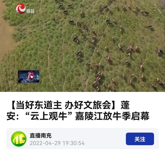 {top8bet娛樂}(最近最火的新闻事件) {top8bet娛樂}(最近最火的新闻事件)